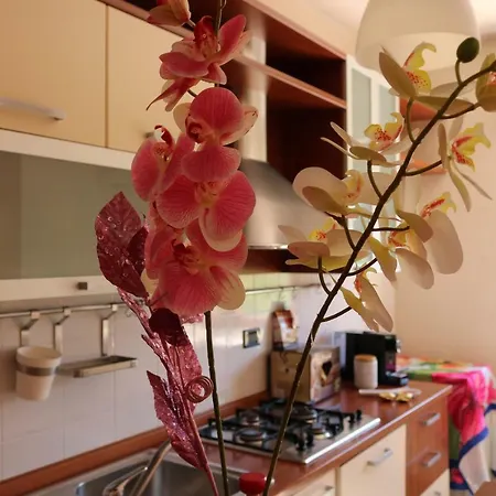 La Casa Sul Parco Guest house